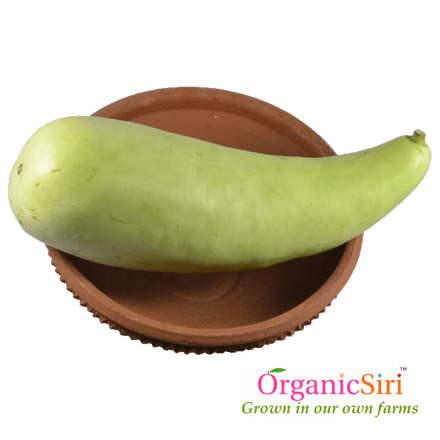 Bottle Gourd Png Hd Isolated (black, gray)