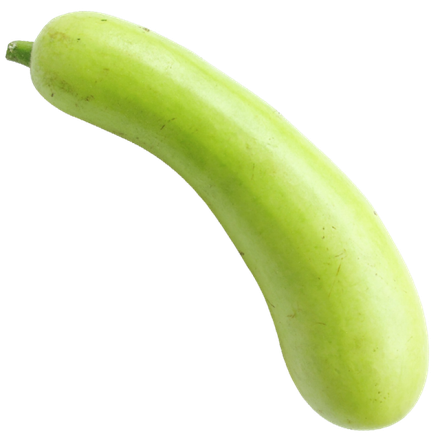 Bottle Gourd Png Isolated File (black, beige, mint, gray, olive)