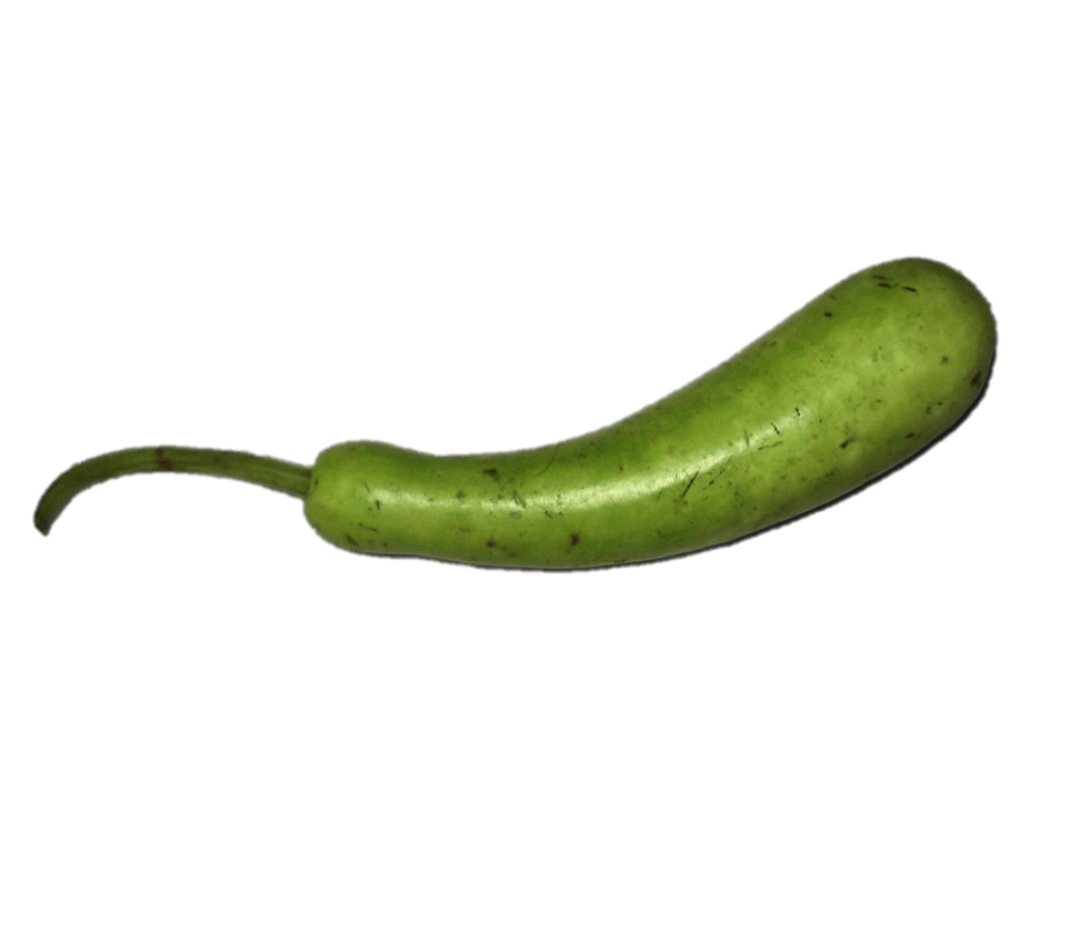 Bottle Gourd Png Isolated Pic (gray)