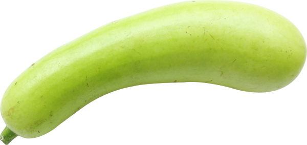 Bottle Gourd Png Picture (mint, black, olive)