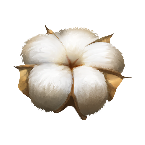 Cotton Png Picture (olive, gray, white, lavender, beige)