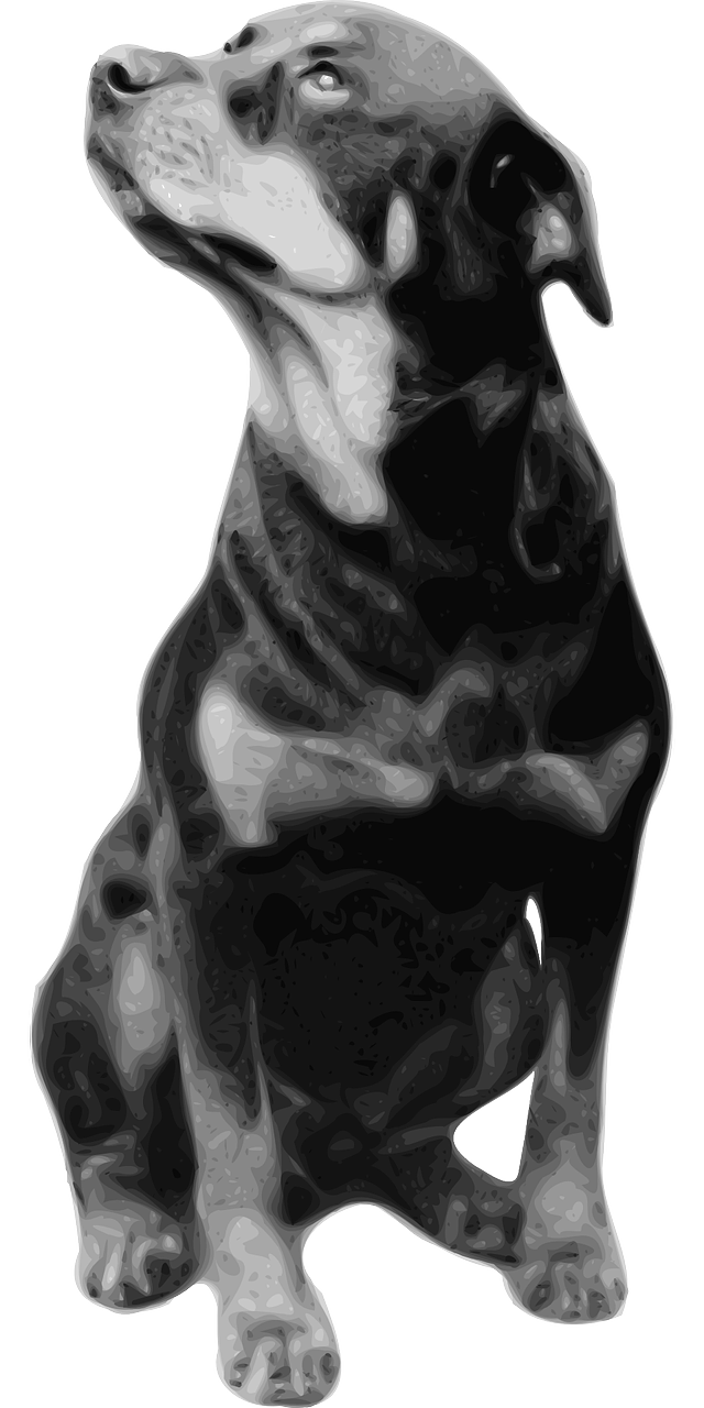 Rottweiler Download Png Image (black, white)