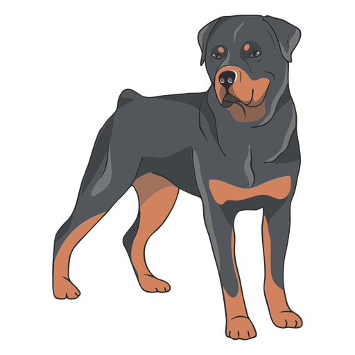 Rottweiler Png Clipart (gray, salmon, indigo, black)