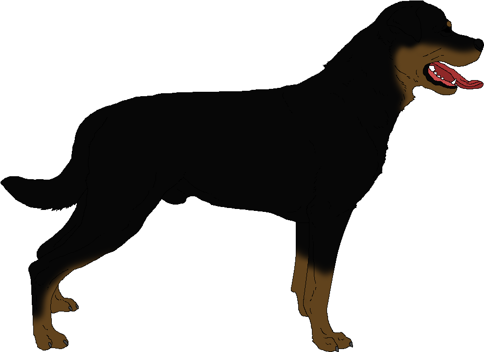 Rottweiler Png Isolated Image (olive, black, maroon)