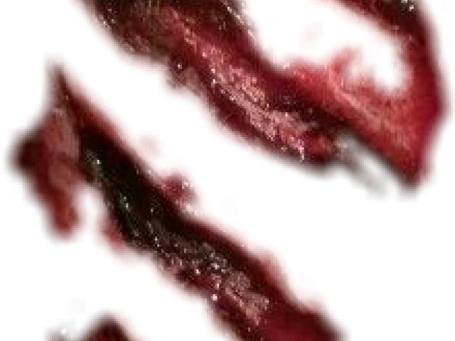 Wound Png Transparent (maroon, black)