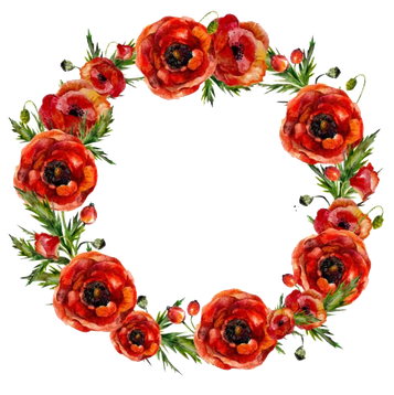 Round Poppy Flower Frame Png Image (black)