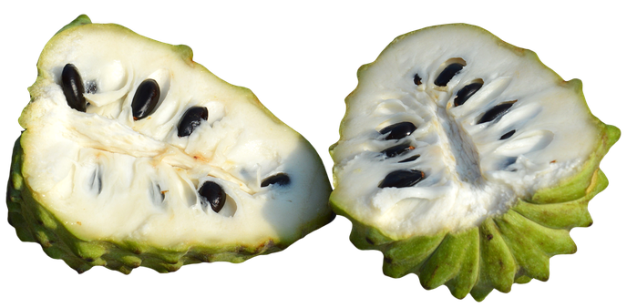 Soursop Png Isolated Pic (black, silver, beige, white)