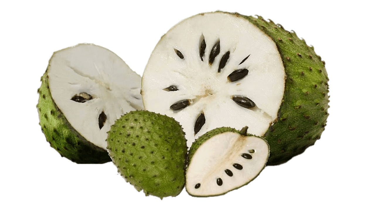 Soursop Png Photo (beige, gray)