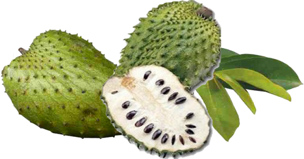 Soursop Png Photos (black, beige, green)