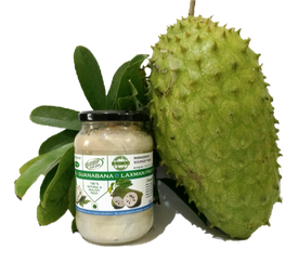 Soursop Png Picture (black, white)