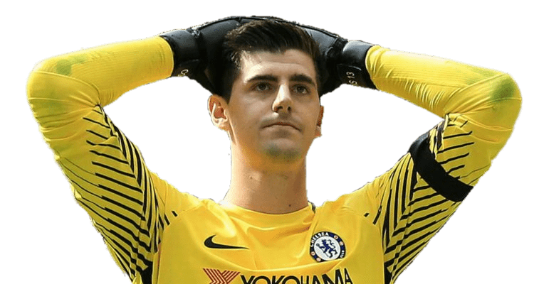 Courtois Png Pic (gray, black)