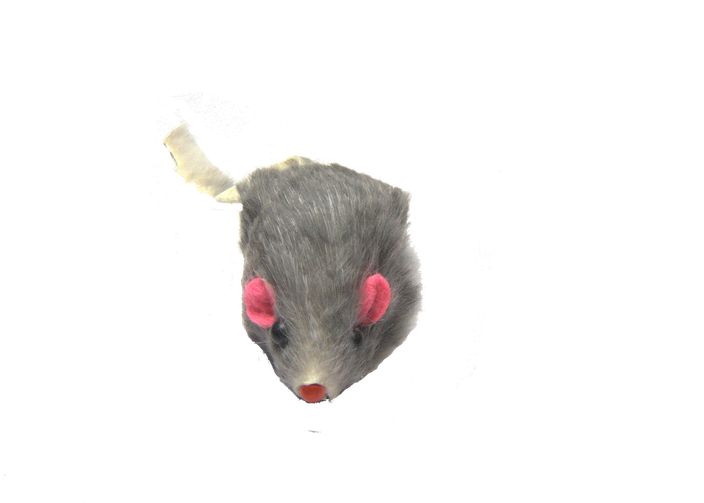 Mouse Animal Download Png Isolated Image (black)