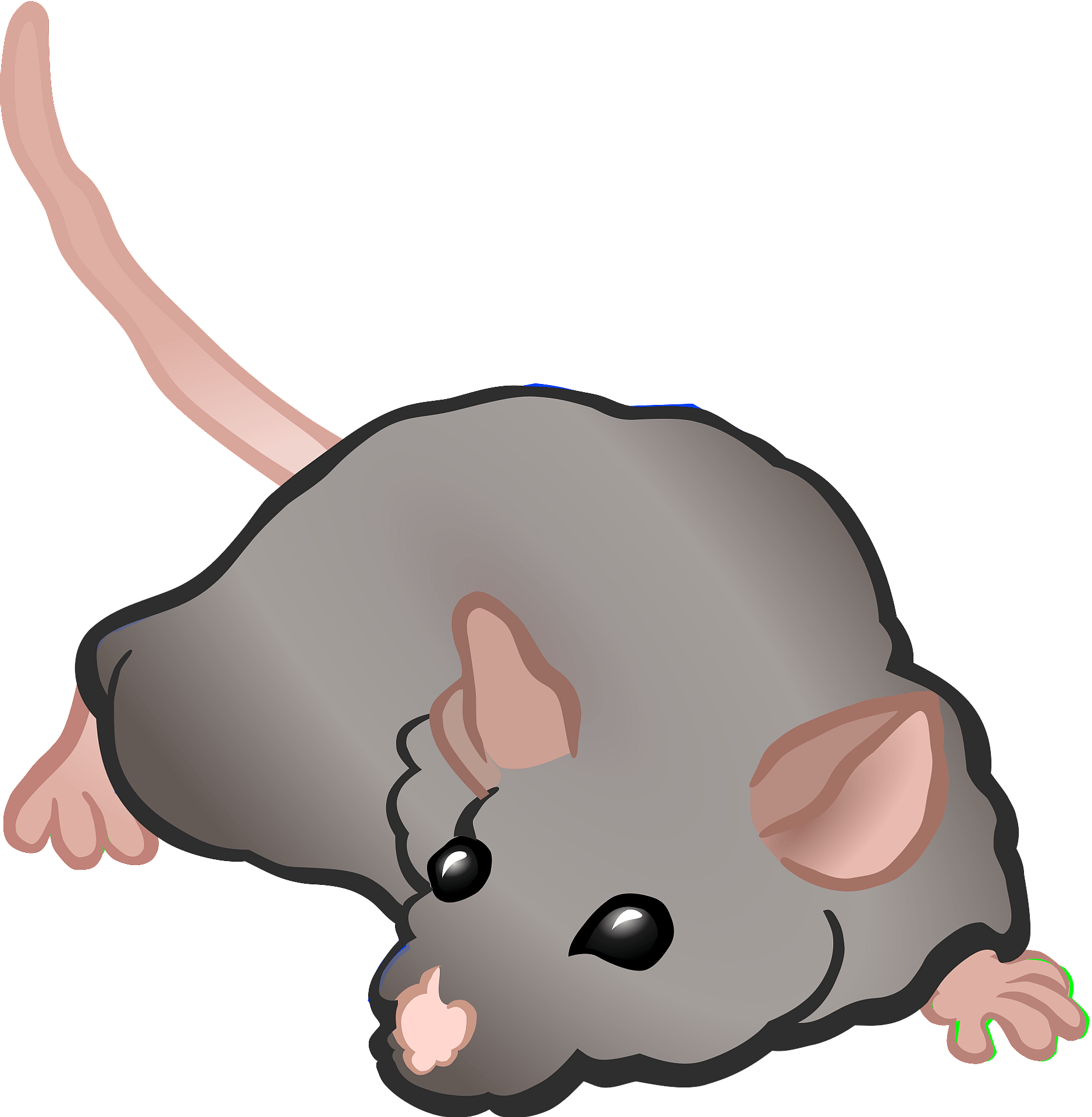 Mouse Animal Transparent Png (gray)