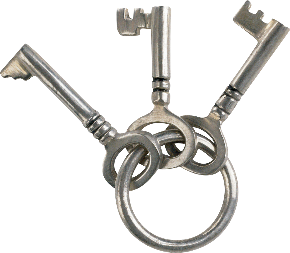 House Silver Key Png Transparent Image (black)