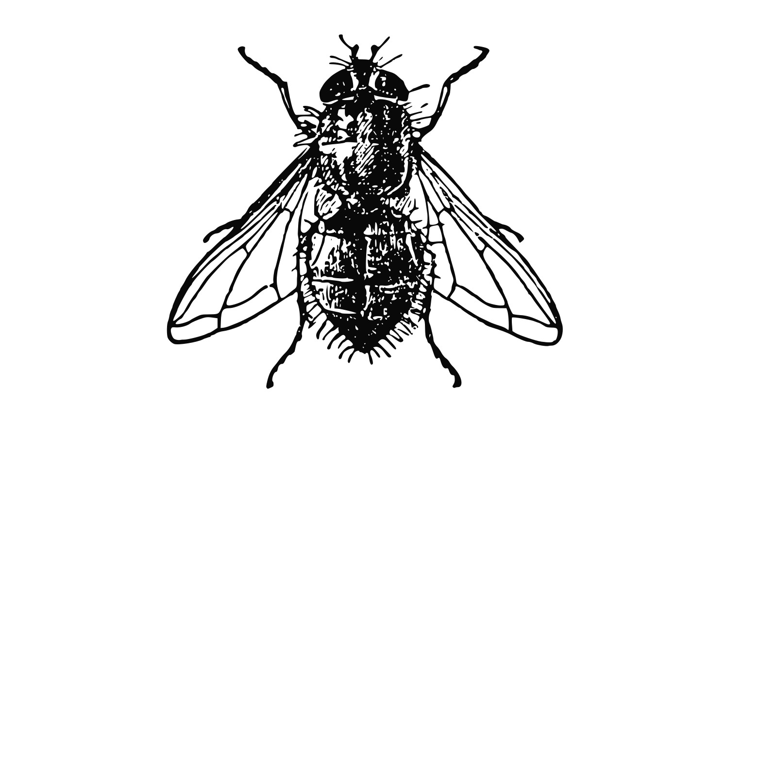 Housefly Png Hd (black)