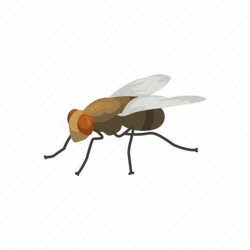 Housefly Png Image (black)