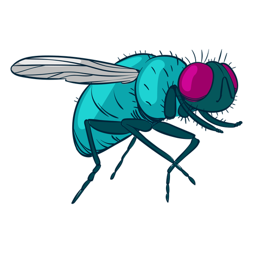 Housefly Png Isolated Photo (teal, greenish blue, purple, black)