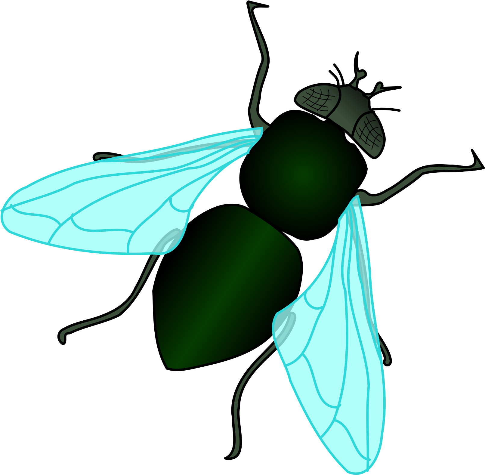 Housefly Png Pic (mint, black)