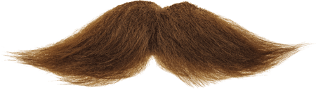 Moustache Free Download Png (black, maroon)