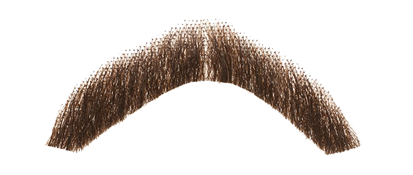 Moustache Png Hd (olive, black, maroon)