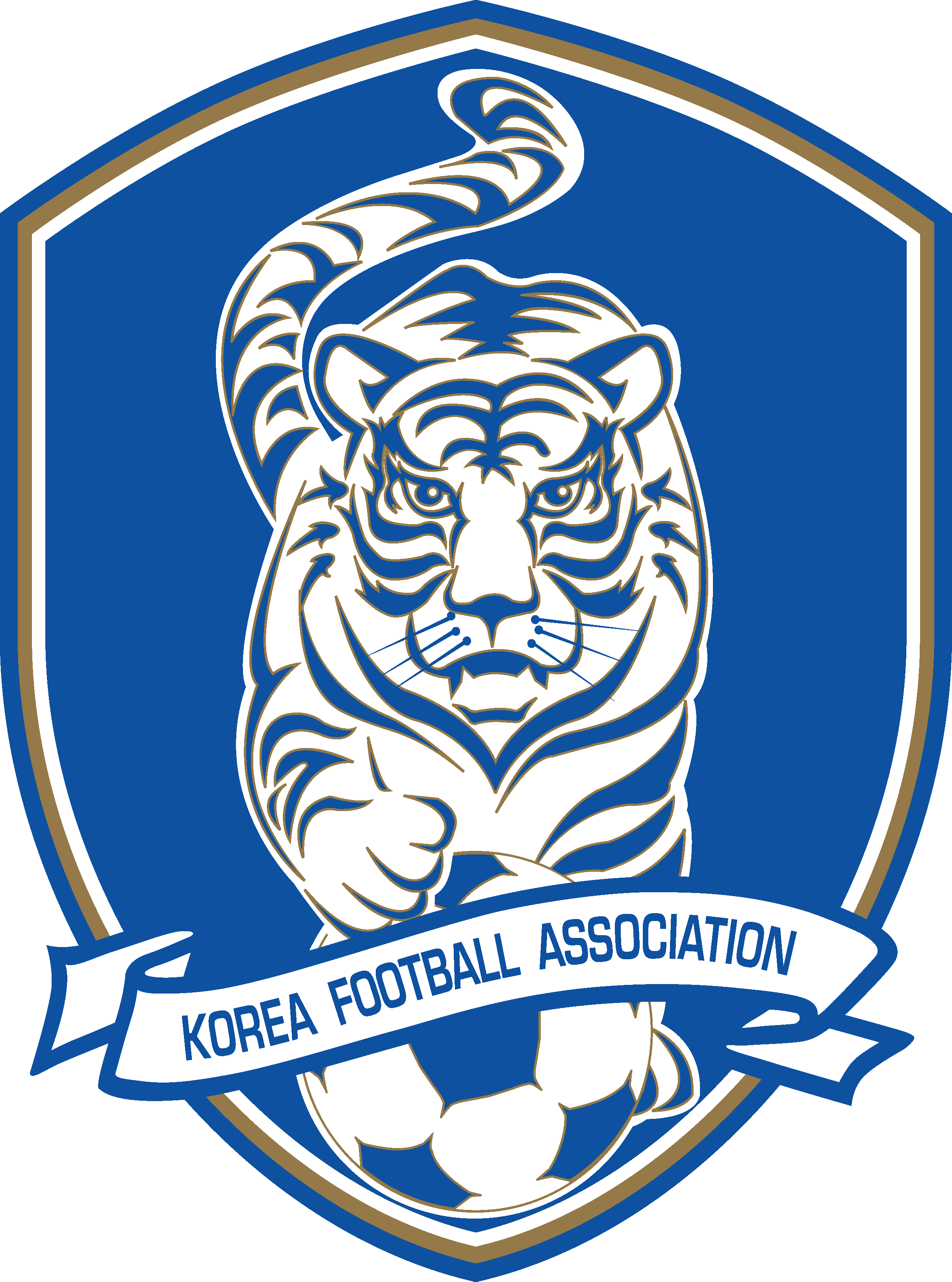 South Korea National Football Team Png Hd (silver, white, teal, gray)