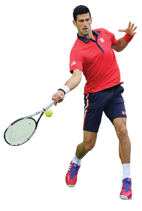 Novak Djokovic Png File (silver, black)