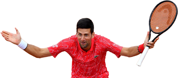 Novak Djokovic Png Isolated Photo (red, chocolate, black, salmon, white)