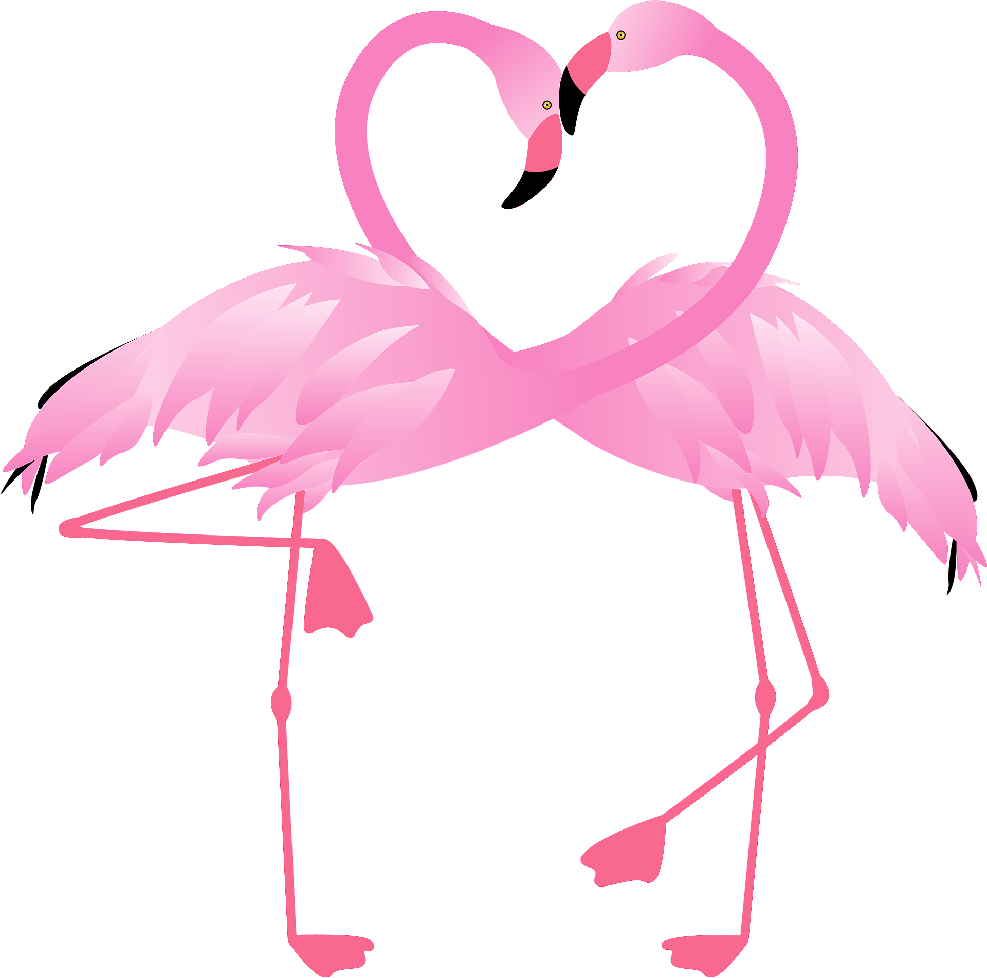 Love Flamingo Bird Vector Transparent Png (salmon, gray, plum)