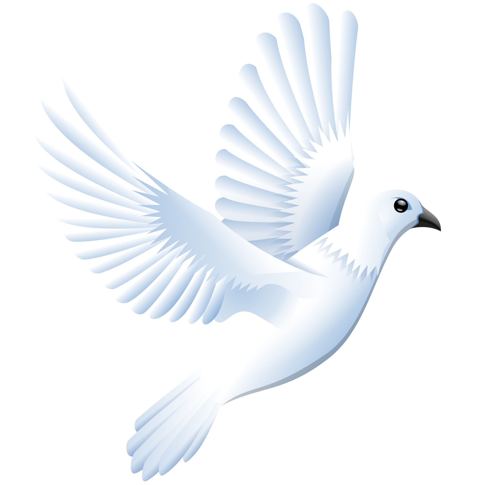 Dove Png Images (lavender, white)