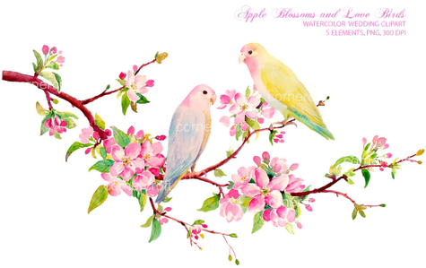 Lovebirds Png Hd (black)