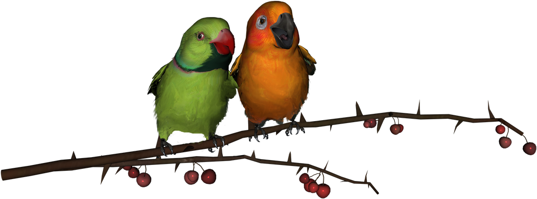 Lovebirds Png Photo (black)