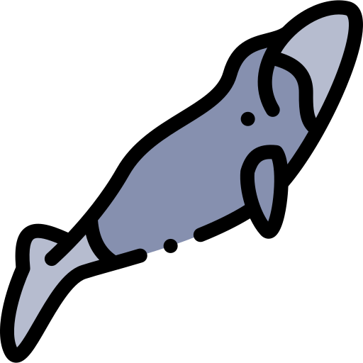 Bowhead Whales Png File (black, gray, silver)