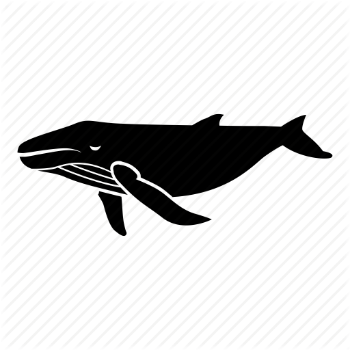 Bowhead Whales Png Isolated File (black, indigo)