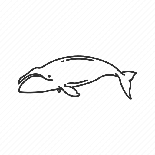 Bowhead Whales Png Isolated Hd (black)