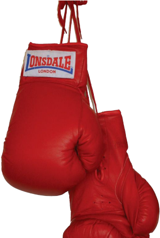 Boxing Glove Png (black, maroon)