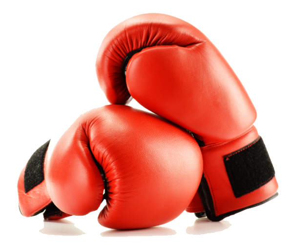 Boxing Gloves Png Image (black, pink, white, red)