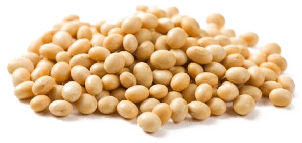 Soybeans Png Hd (white)