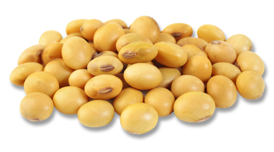 Soybeans Png Image (black, salmon, pink)