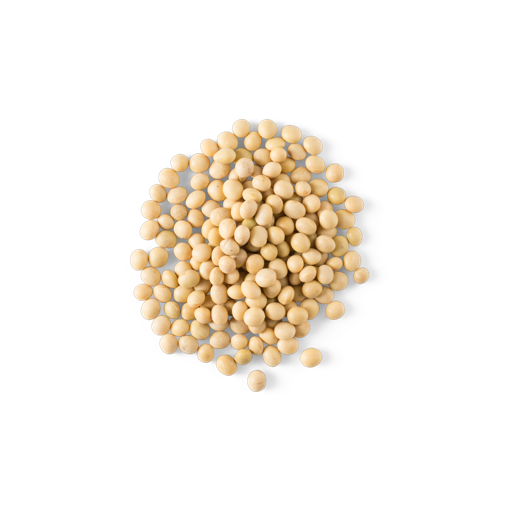 Soybeans Png Isolated File (black, pink)