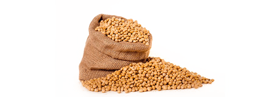 Soybeans Png Isolated Hd (beige, white)