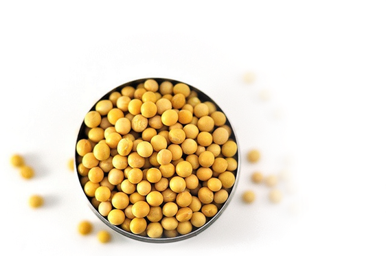 Soybeans Png Isolated Image (black, white)