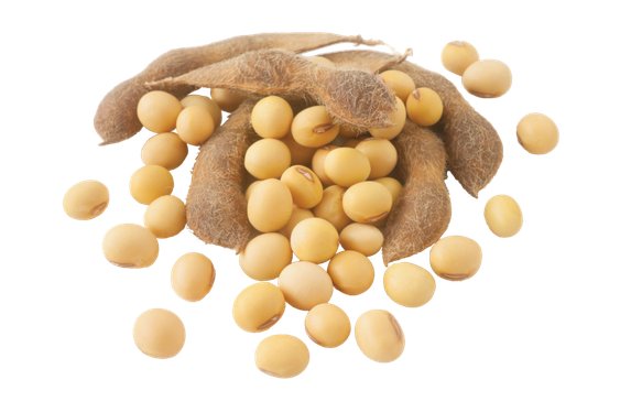 Soybeans Png Isolated Pic (black, salmon, pink)