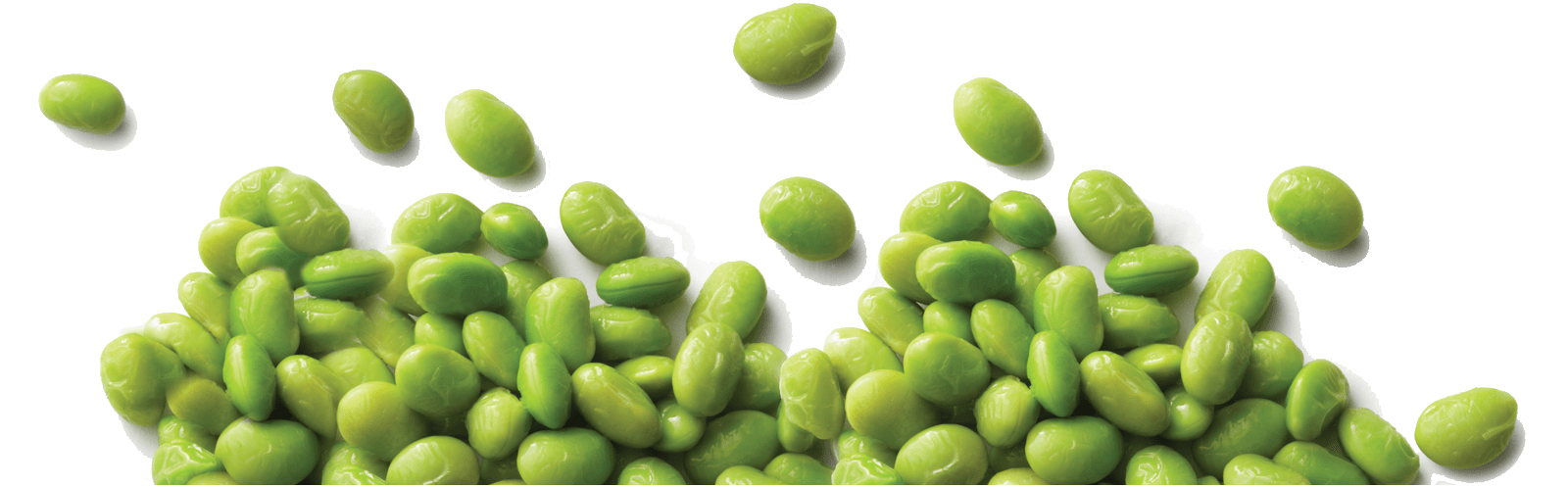 Soybeans Png Photo (gray)