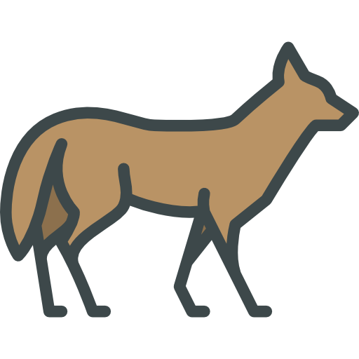 Coyote Png Clipart (gray, white, indigo, salmon)