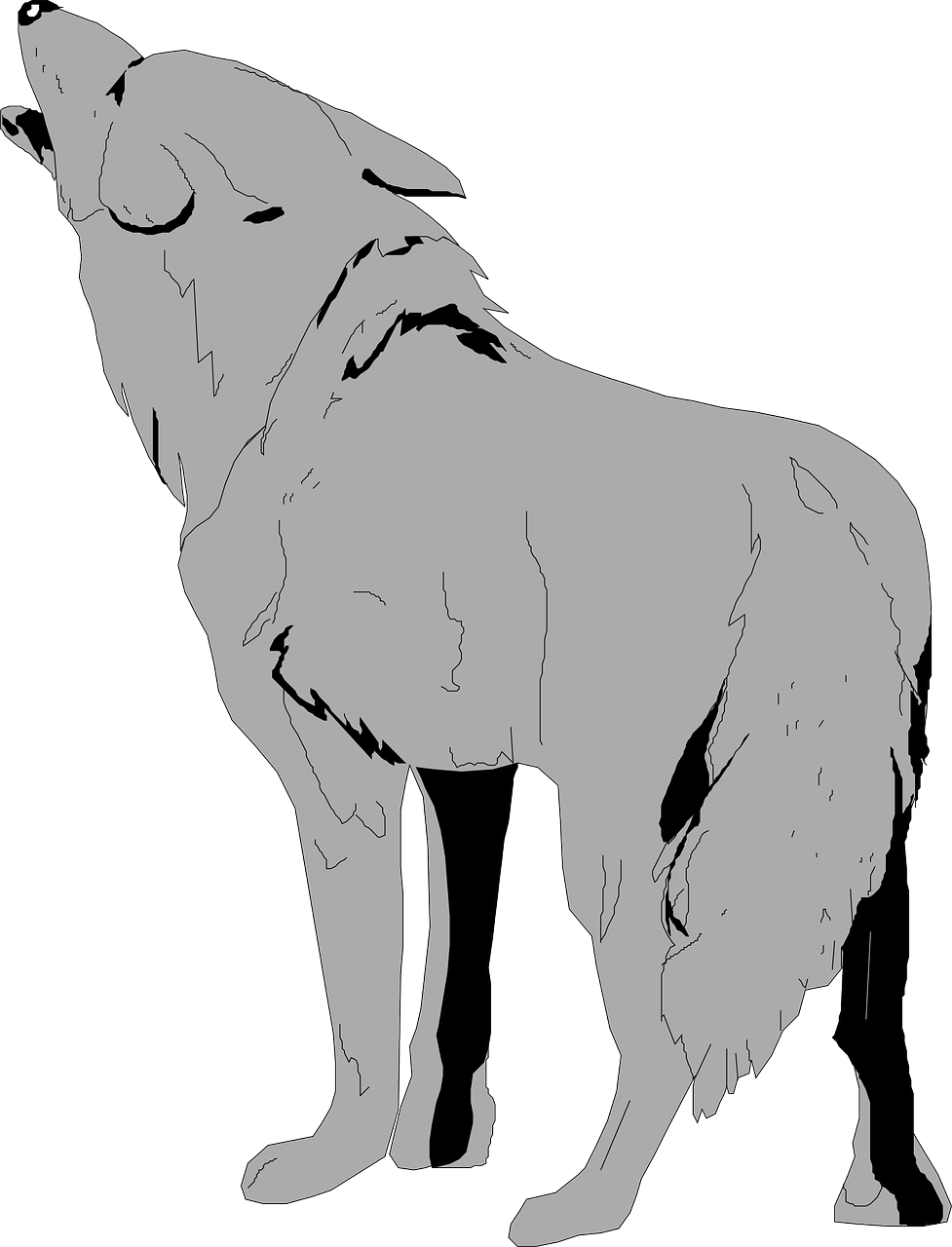 Coyote Png File (black, white, silver)