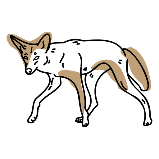 Coyote Png Picture (black, salmon)