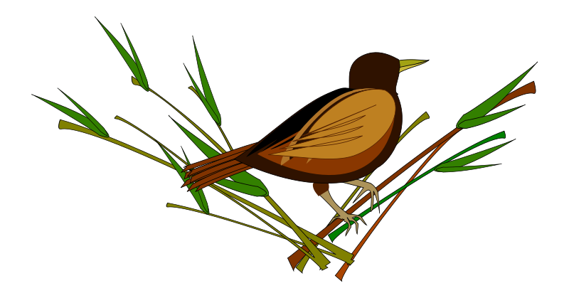 Sparrow Png Pic (chocolate, black)