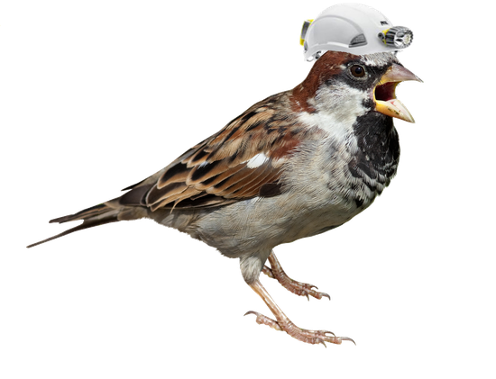 Sparrow Png Transparent Picture (silver, black)