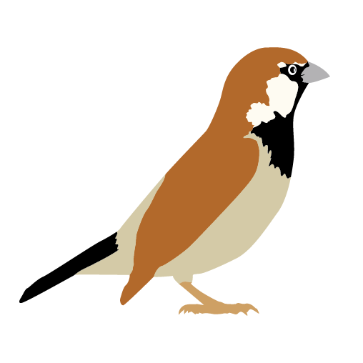 Sparrow Transparent Png (black, white, chocolate, silver)