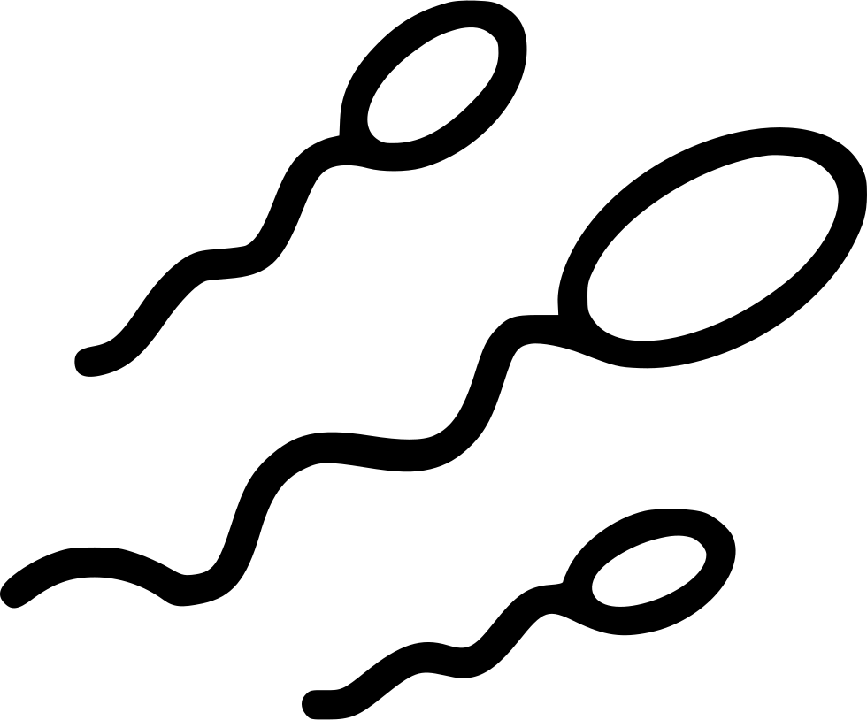 Sperm Cartoon Png Clipart (white, gray, black)